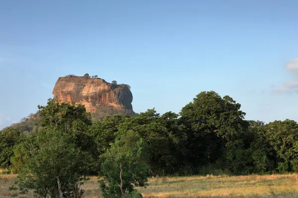 Το λιοντάρι βράχο της Sigiriya στη Σρι Λάνκα — Φωτογραφία Αρχείου