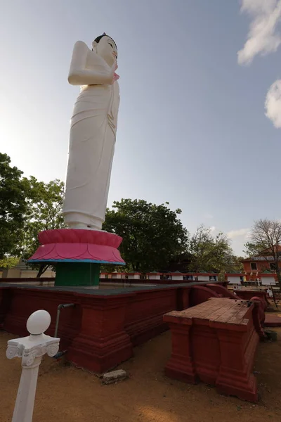 Boeddhabeeld op Sigiriya in Sri Lanka — Stockfoto