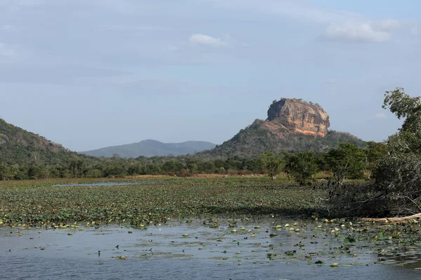 The Lion Rock of Sigiriya in Sri Lanka — Stock Photo, Image