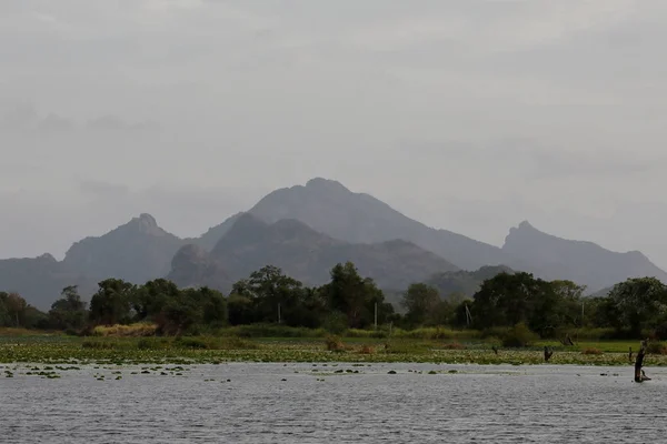 Landscape in Sri Lanka near Sigiriya — Stock Photo, Image