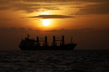 Konteyner gemisi Sunrise denizde