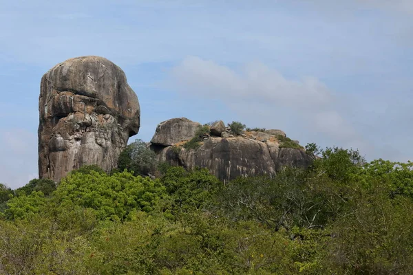 Parque Nacional Yala Sri Lanka — Fotografia de Stock