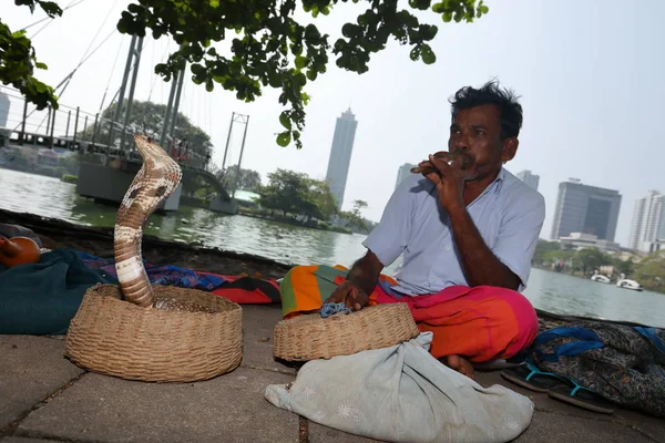 Snake Charmer Colombo Sri Lanka — Zdjęcie stockowe