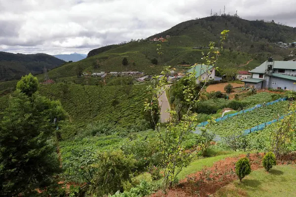 Città Nuwara Eliya Sri Lanka — Foto Stock