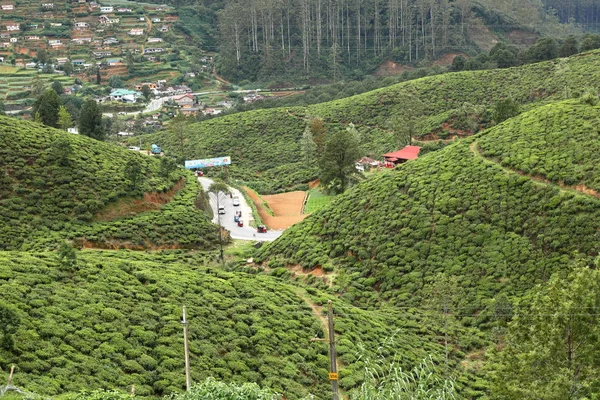 Stad Nuwara Eliya Sri Lanka — Stockfoto