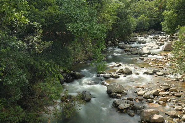 Gebirgsbach Den Bergen Bei Kandy Sri Lanka — Stockfoto