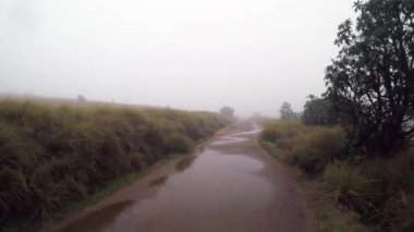 Horton Plains Milli Parkı Sri Lanka
