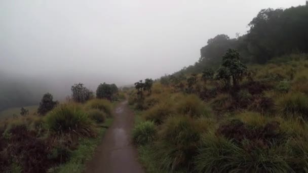 Horton Plains Milli Parkı Sri Lanka — Stok video