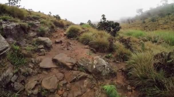 Horton Plains Milli Parkı Sri Lanka — Stok video