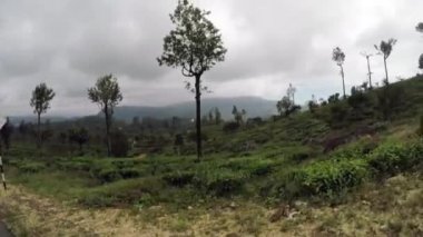 Horton Plains Milli Parkı Sri Lanka