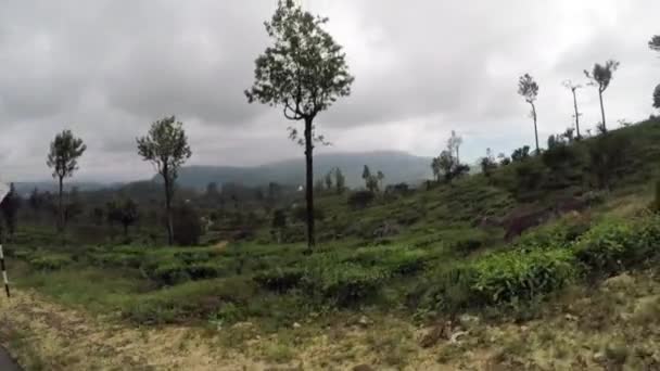 Horton Plains Milli Parkı Sri Lanka — Stok video