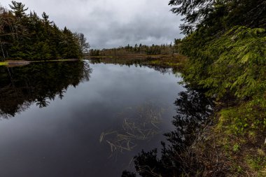 Ontario Kanada 'da Algonquin manzarası
