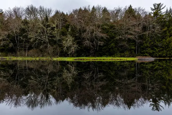 Tájkép Algonquin Ontario Kanada — Stock Fotó