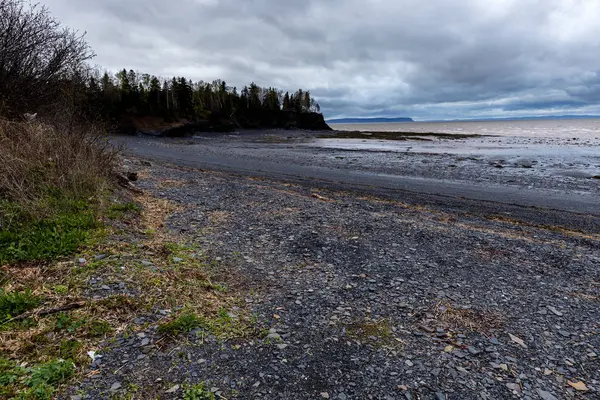 Kanada Daki Nova Scotia Koyun Koyu Sahili — Stok fotoğraf