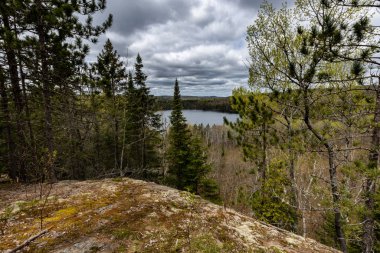Ontario Kanada 'da Algonquin manzarası