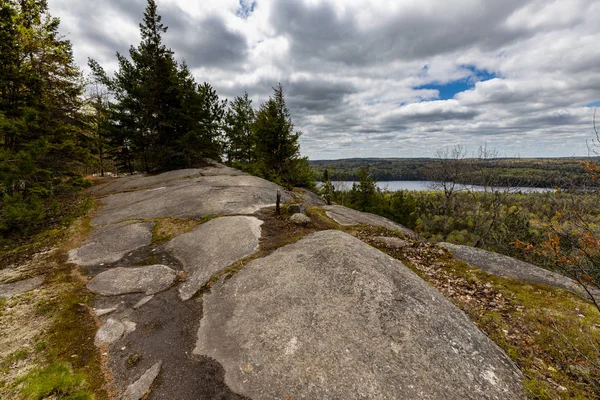 Ontario Kanada Daki Algonquin Ormanı — Stok fotoğraf