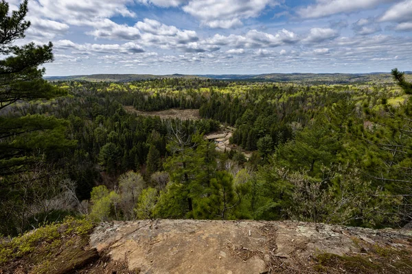 Ontario Kanada Daki Algonquin Ormanı — Stok fotoğraf