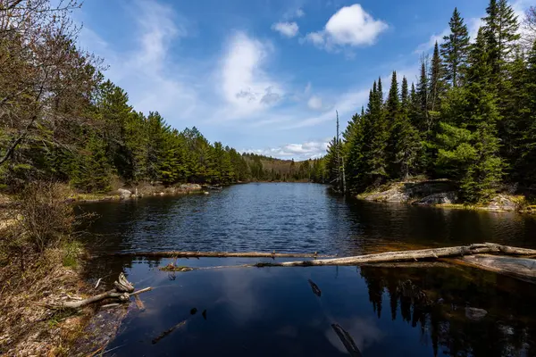 Landschap Van Algonquin Ontario Canada — Stockfoto