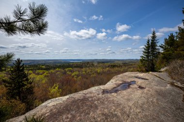 Ontario Kanada 'daki Algonquin Ormanı
