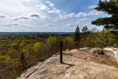 Ontario Kanada 'daki Algonquin Ormanı