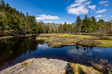 Ontario Kanada 'da Algonquin manzarası