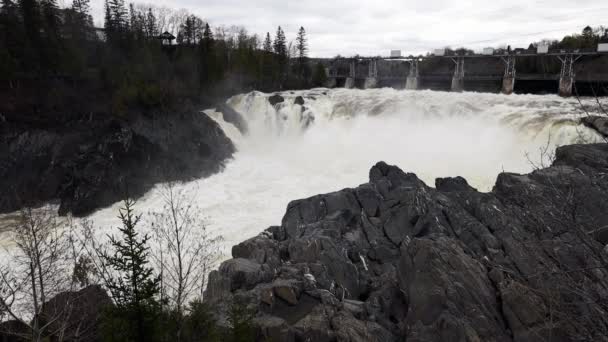 Řeka Saint John Grantovými Vodopády Kanadě — Stock video