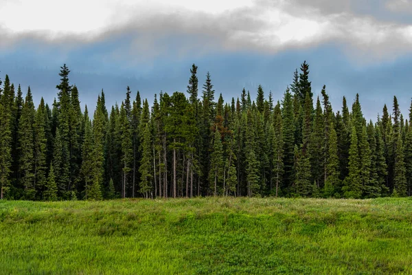 Bosque Largo Autopista Alaska — Foto de Stock