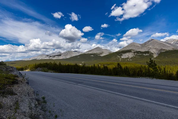 Landscape Alaska Highway Canada Alaska — стокове фото