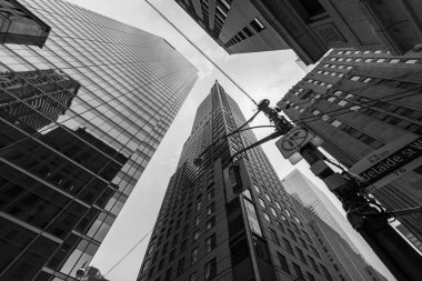 Kanada 'da Toronto City ve Skyline, 30. Mayıs 2019