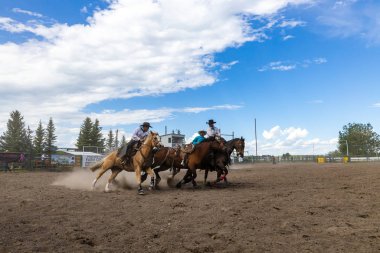 Pincher Creek Kanada 'da Rodeo Bronco Biniciliği, 16 yaşında. Haziran 2019
