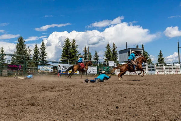 Pincher Creek Kanada Rodeo Bronco Biniciliği Yaşında Haziran 2019 — Stok fotoğraf