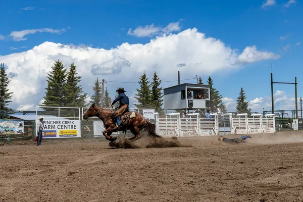 Rodeo Bronco Riding Pincher Creek Canada June 2019 — ストック写真