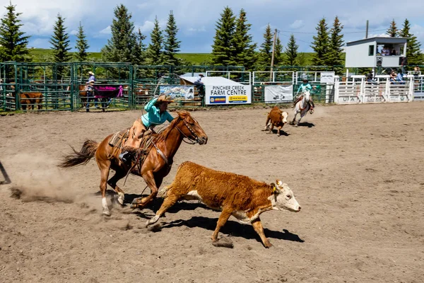 Pincher Creek Kanada Rodeo Bronco Biniciliği Yaşında Haziran 2019 — Stok fotoğraf