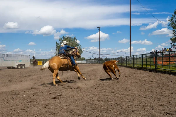 Rodeo Bronco Rijdt Pincher Creek Canada Juni 2019 — Stockfoto