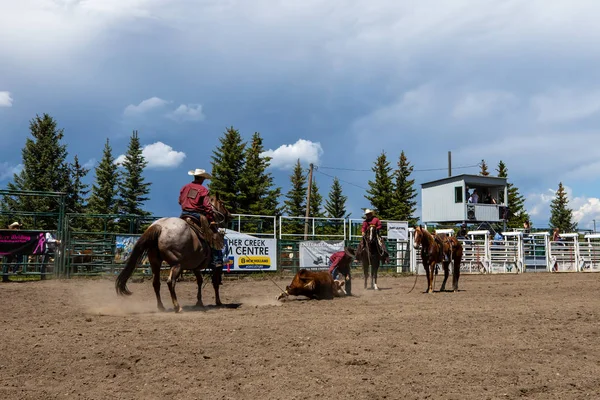 Pincher Creek Kanada Rodeo Bronco Biniciliği Yaşında Haziran 2019 — Stok fotoğraf