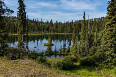 Alaska ve Kanada 'daki Carcross ve Skagway arasındaki manzara