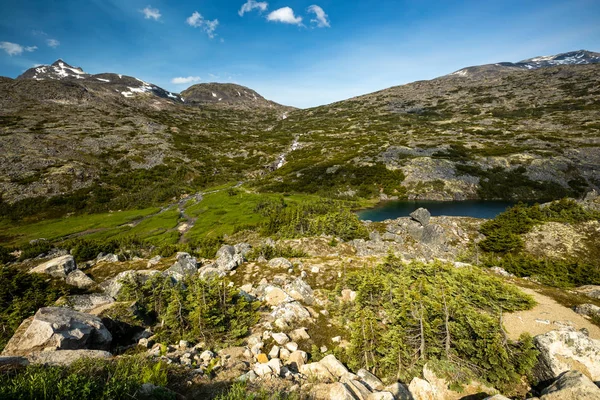 Alaska ve Kanada 'daki Carcross ve Skagway arasındaki manzara