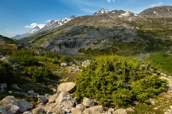 Die Landschaft Zwischen Carcross Und Skagway Alaska Und Canada — Stockfoto