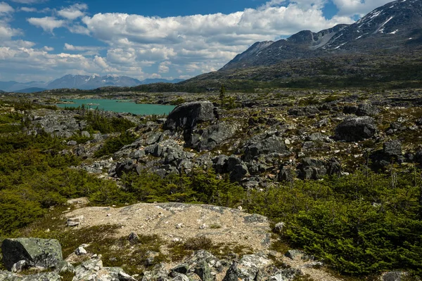 Paisagem Entre Carcross Skagway Alasca Canadá — Fotografia de Stock