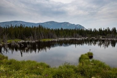 Alaska otoyolu boyunca Sülfür Gölü