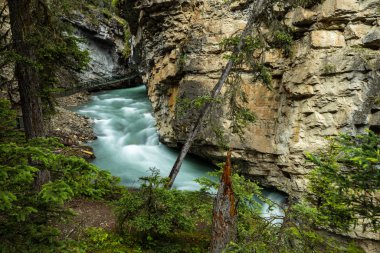 The Johnston Canyon in the Canadian Rocky Mountains