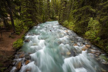 The Johnston Canyon in the Canadian Rocky Mountains
