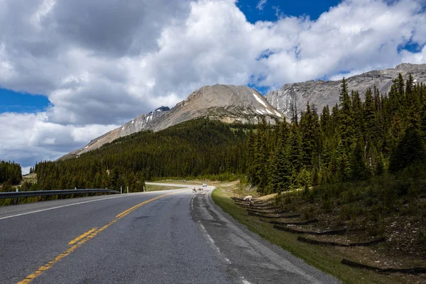 Paesaggio Delle Montagne Rocciose Canada — Foto Stock