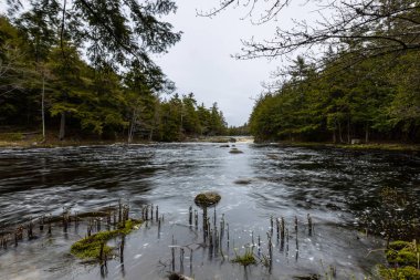 Nova Scotia Kanada 'daki Mill Falls ve River.
