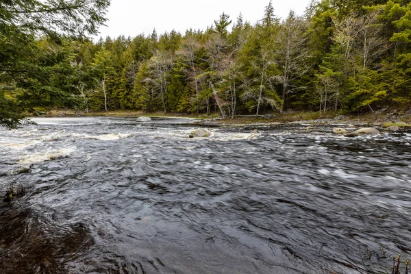 Mill Falls River Skócia Kanada — Stock Fotó