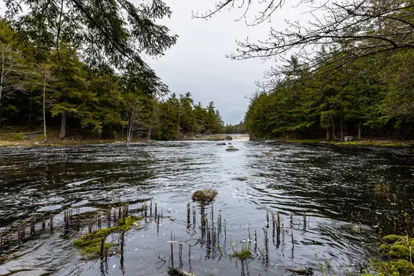 Mill Falls River Skócia Kanada — Stock Fotó