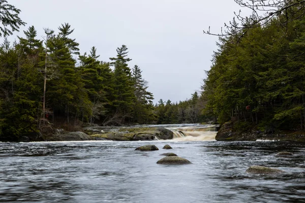 Les Chutes Rivière Mill Nouvelle Écosse Canada — Photo