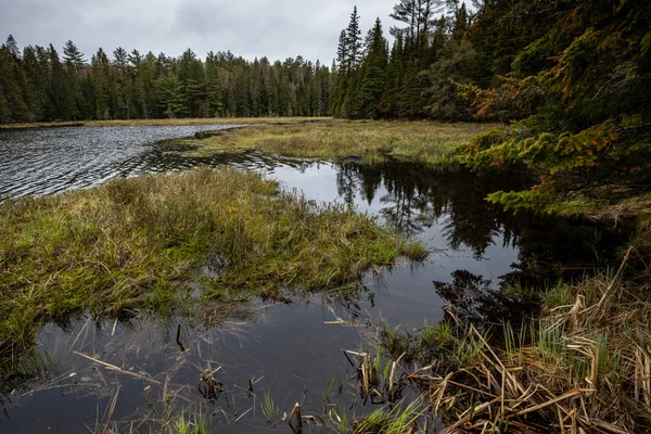 Desierto Algonquin Canadá —  Fotos de Stock