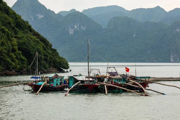 Vietnam Halong Körfezi Nin Yüzen Köyü Balıkçısı — Stok fotoğraf