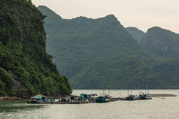 Vietnam Halong Körfezi Nin Yüzen Köyü Balıkçısı — Stok fotoğraf
